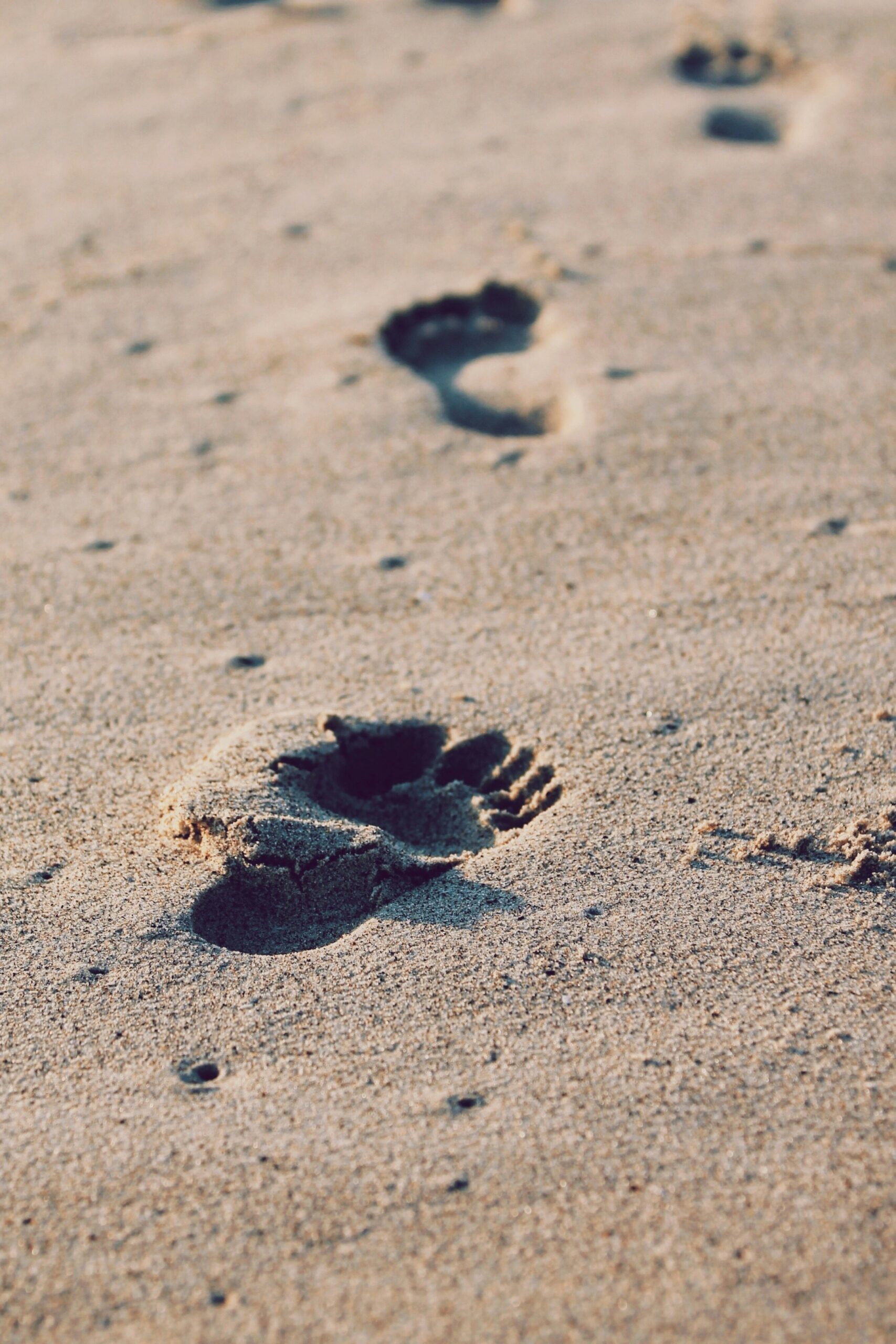 Leaving the Familiar to Follow Jesus